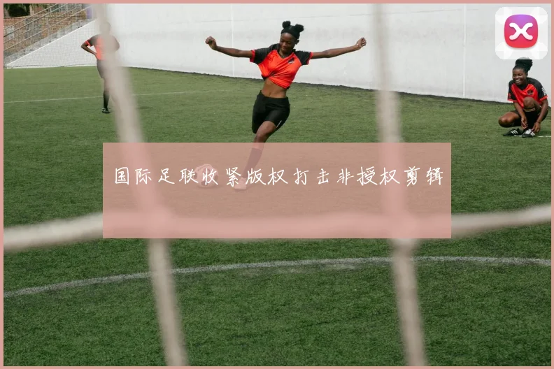 国际足联收紧版权打击非授权剪辑